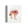 Illusive4 illustration book gestalten